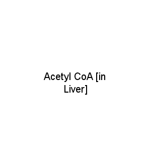 Acetyl CoA [in Liver]
